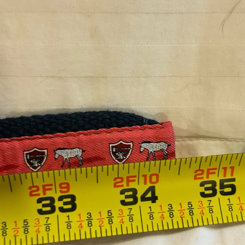 Vineyard Vines‎ Women’s Belt D-Ring Preppy Zebra Blue Pink Size Small 34”